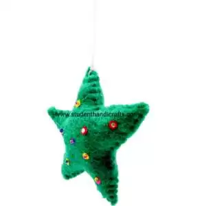 Green Star Christmas Gift